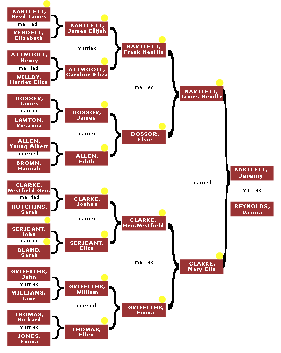 family tree template with pictures. blank family tree template